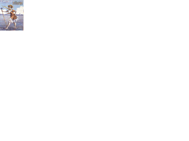 B&uuml;sum